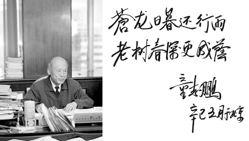 蒼龍日暮還行雨，老樹(shù)春深更成陰.jpg