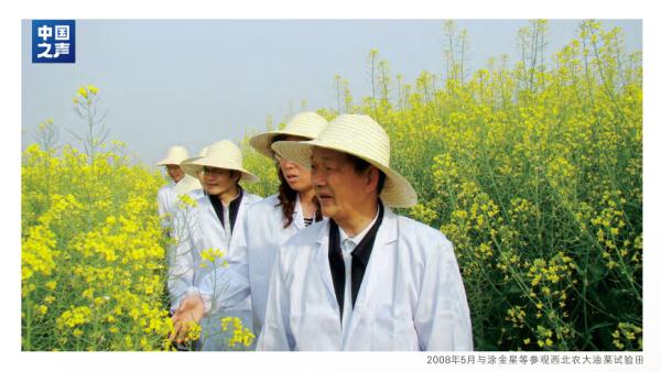 這位84歲的“背包院士”，讓鹽堿地開出油菜花！06.jpg