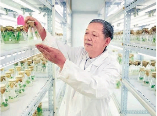 油菜院士傅廷棟：靜待花開六十年