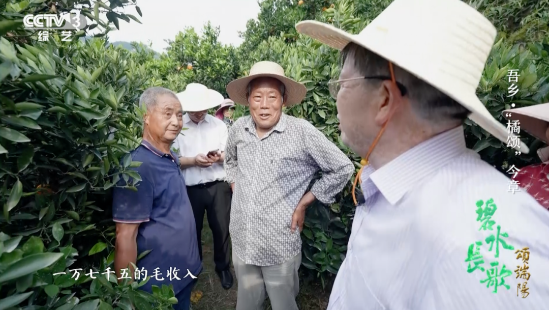 一年四季都有新鮮國(guó)產(chǎn)柑橘，背后離不開他