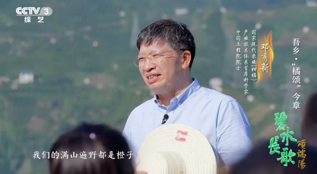 一年四季都有新鮮國(guó)產(chǎn)柑橘，背后離不開他