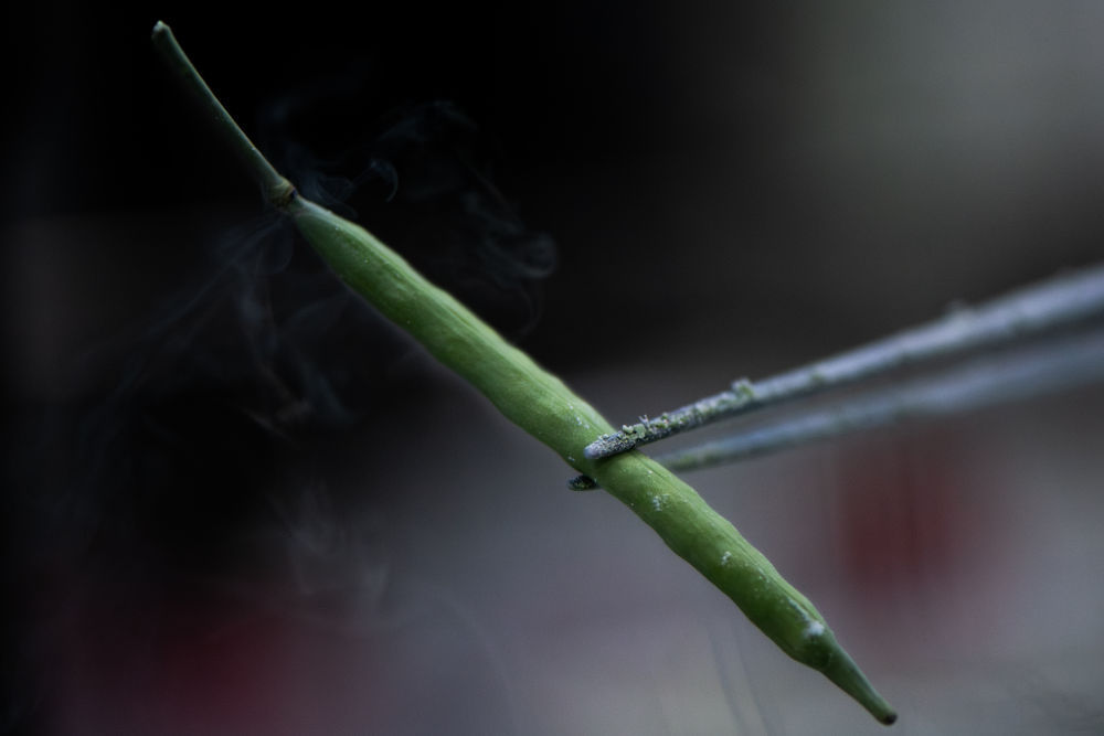 “油菜設(shè)計(jì)師”，讓一粒粒種子開成油菜花海