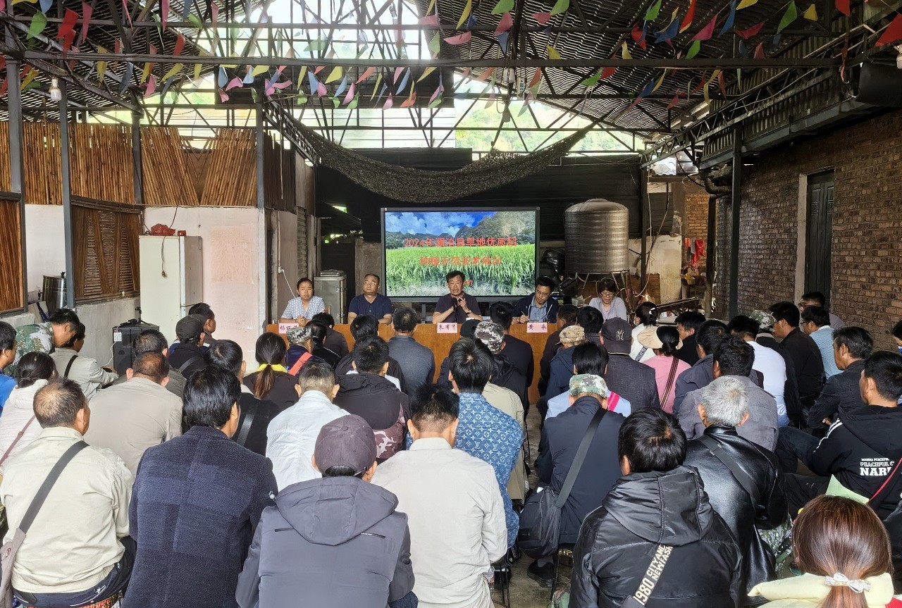 朱有勇院士在云南瀾滄開展旱地優(yōu)質(zhì)稻種植示范技術(shù)培訓(xùn)