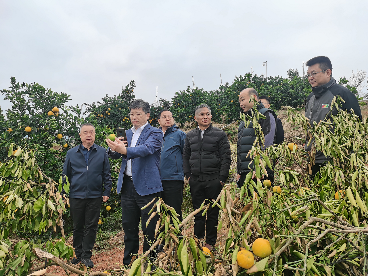 鄧秀新副院長赴贛州市調(diào)研柑橘產(chǎn)業(yè)高質(zhì)量發(fā)展