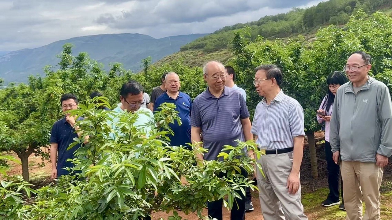 中國(guó)工程科技發(fā)展戰(zhàn)略云南研究院項(xiàng)目“云南林業(yè)香辛料產(chǎn)業(yè)發(fā)展戰(zhàn)略研究”開(kāi)題啟動(dòng)暨專家咨詢會(huì)在昆明召開(kāi)